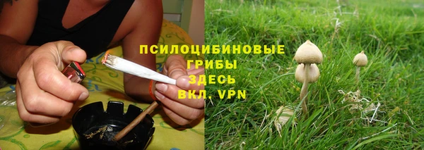 мяу мяу кристалл Алексин