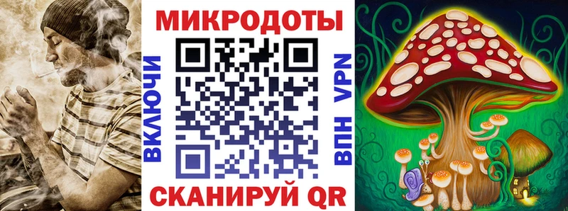 Галлюциногенные грибы Cubensis  Циолковский 